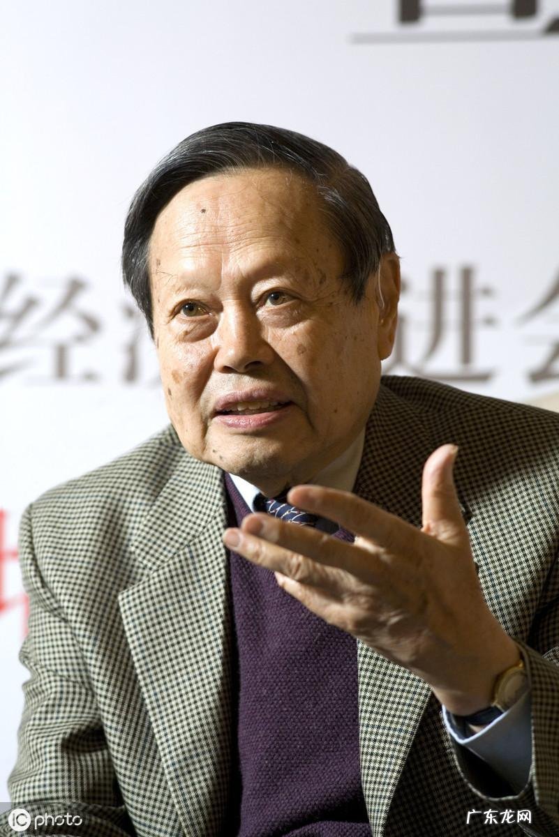 杨振宁什么