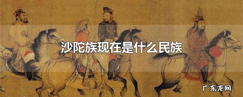 沙陀族现在是什么民族
