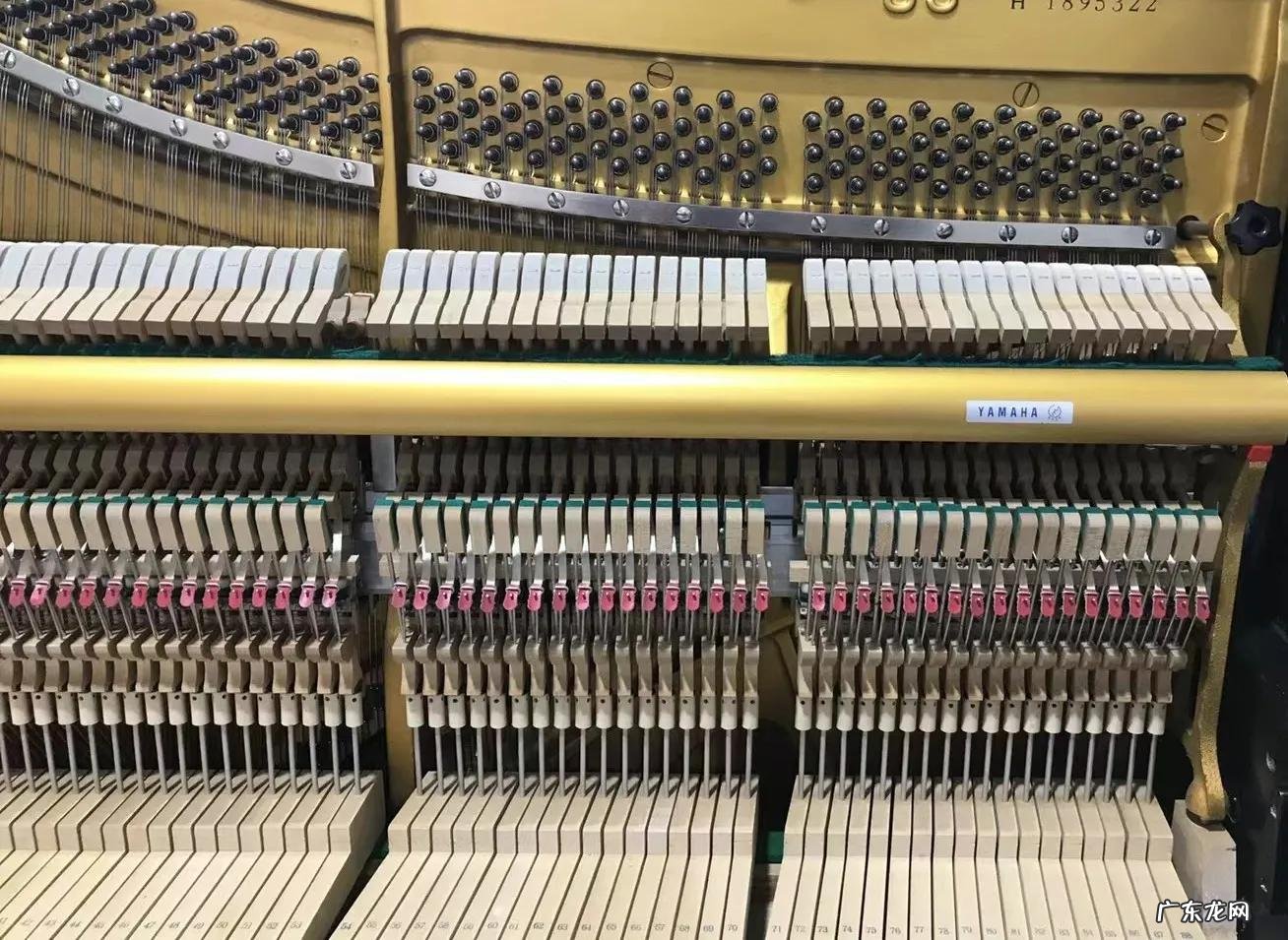 电子钢琴与电子琴有什么区别 电子钢琴与钢琴有什么区别