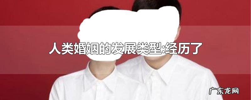 人类婚姻的发展类型:经历了