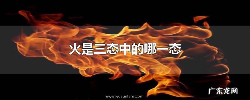 火是三态中的哪一态