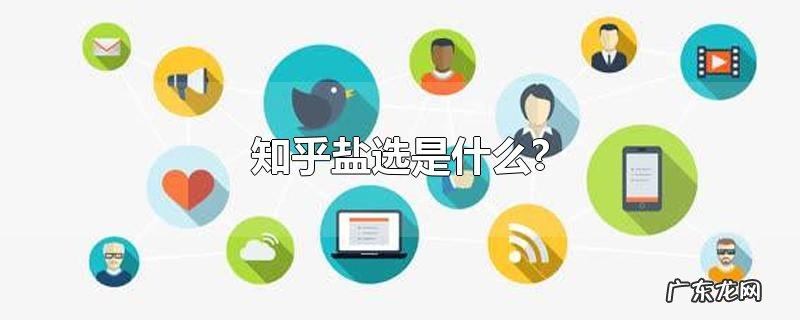 知乎盐选是什么?