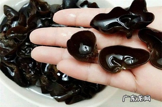 木耳的食用与禁忌