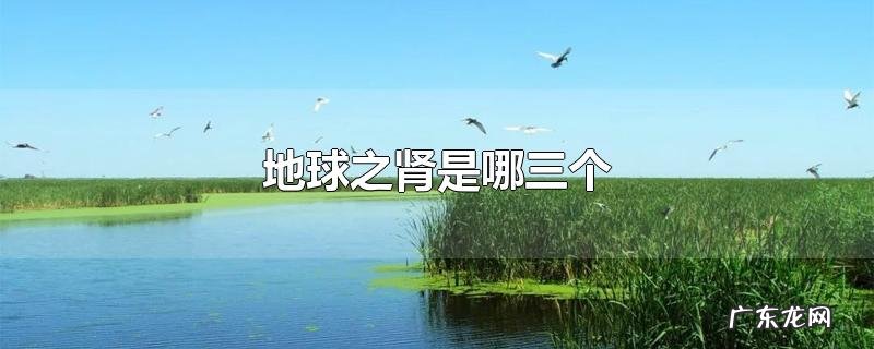 地球之肾是哪三个