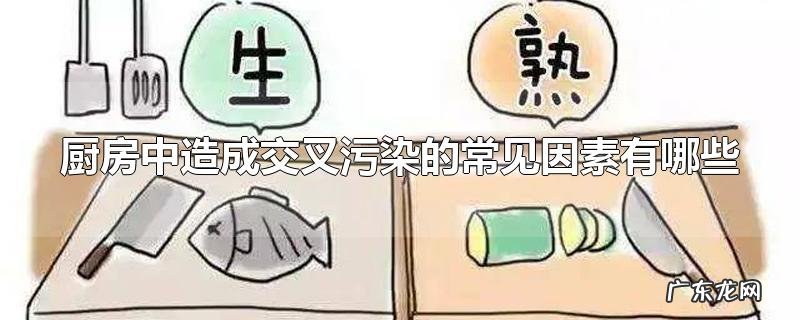 厨房中造成交叉污染的常见因素有哪些
