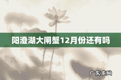 阳澄湖大闸蟹12月份还有吗