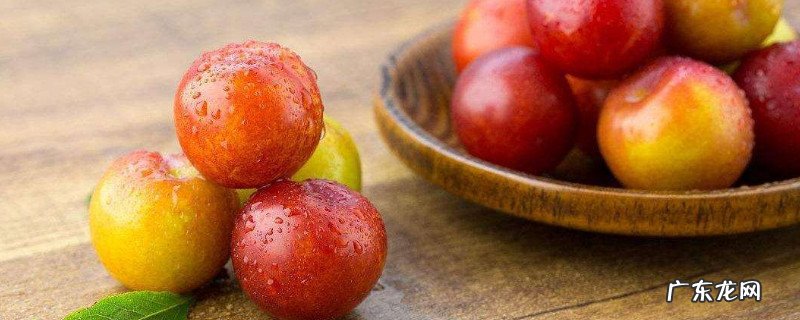 李子不能和什么一起吃吗