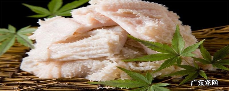 百叶是什么部位