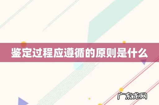 鉴定过程应遵循的原则是什么