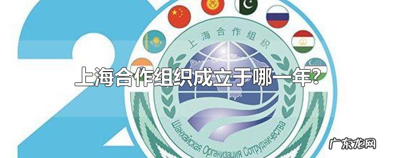 上海合作组织成立于哪一年?