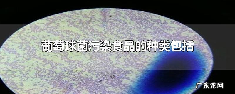 葡萄球菌污染食品的种类包括