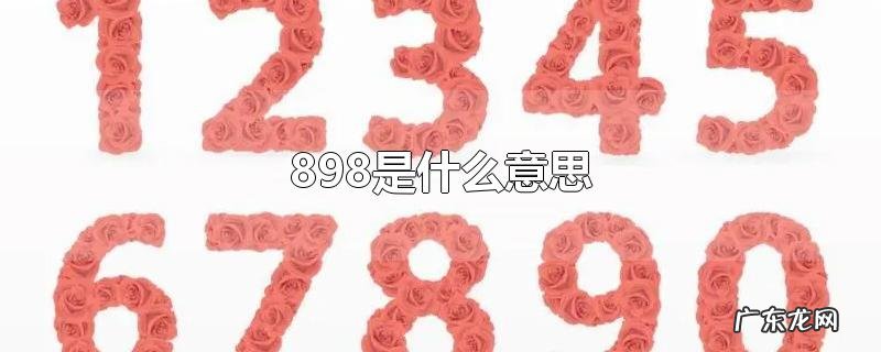 898是什么意思