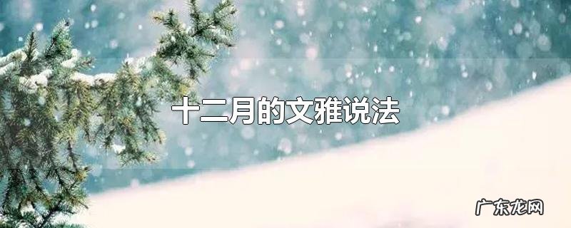 十二月的文雅说法