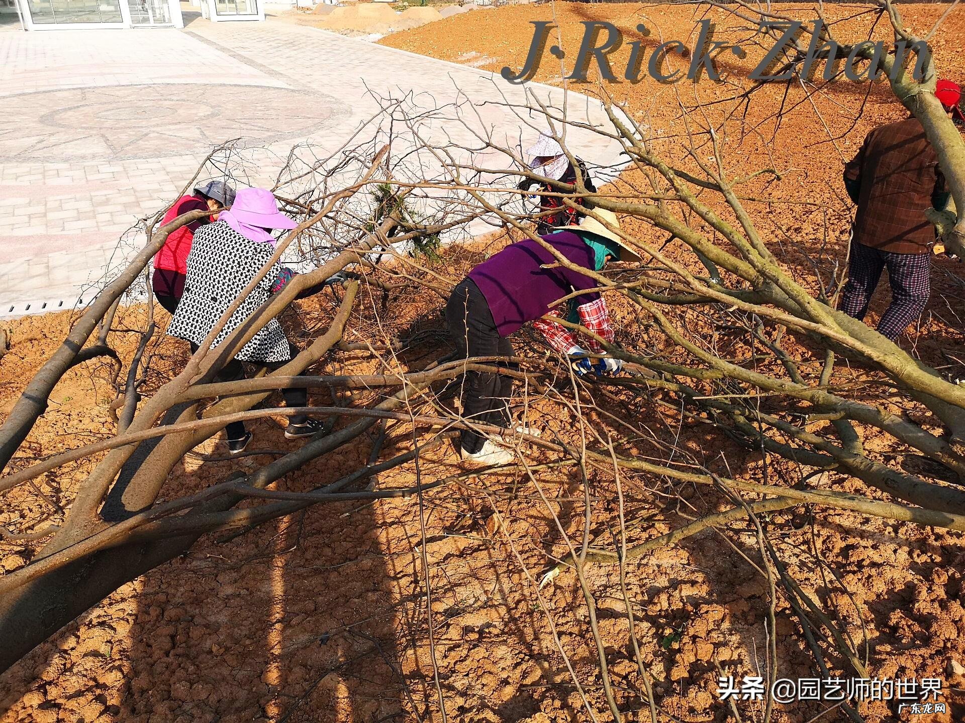 顺祝商祺 顺祝商祺是什么意思啊