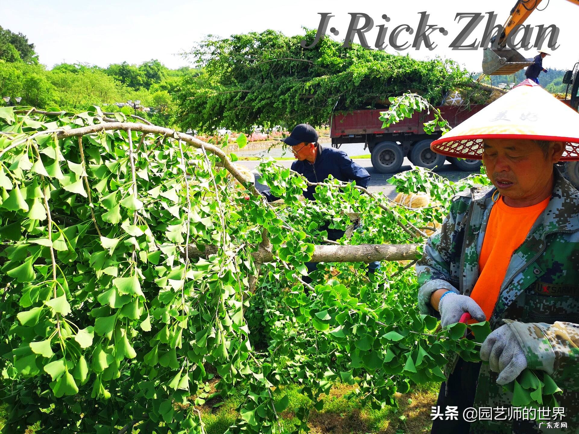 顺祝商祺 顺祝商祺是什么意思啊