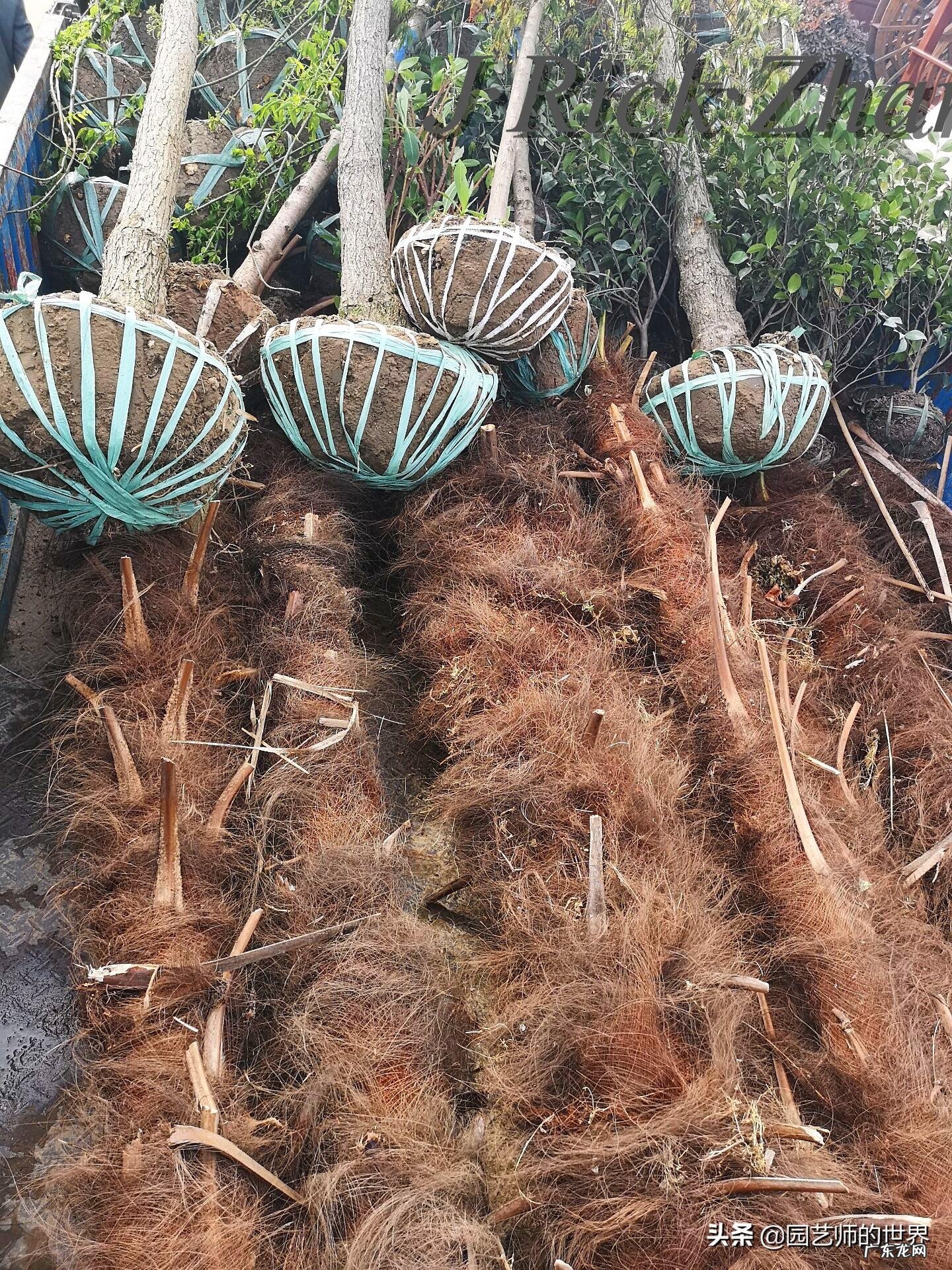 顺祝商祺 顺祝商祺是什么意思啊