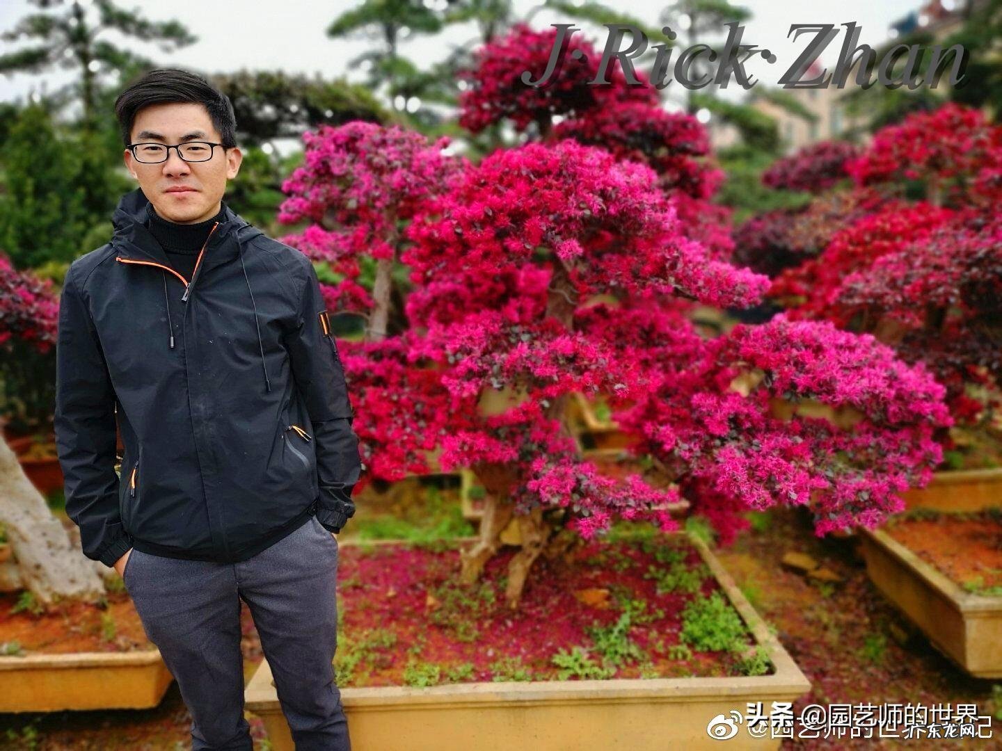 顺祝商祺 顺祝商祺是什么意思啊