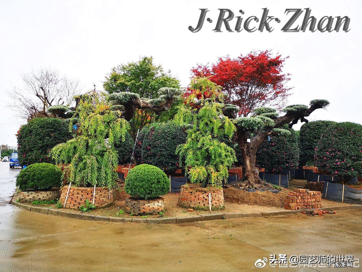 顺祝商祺 顺祝商祺是什么意思啊