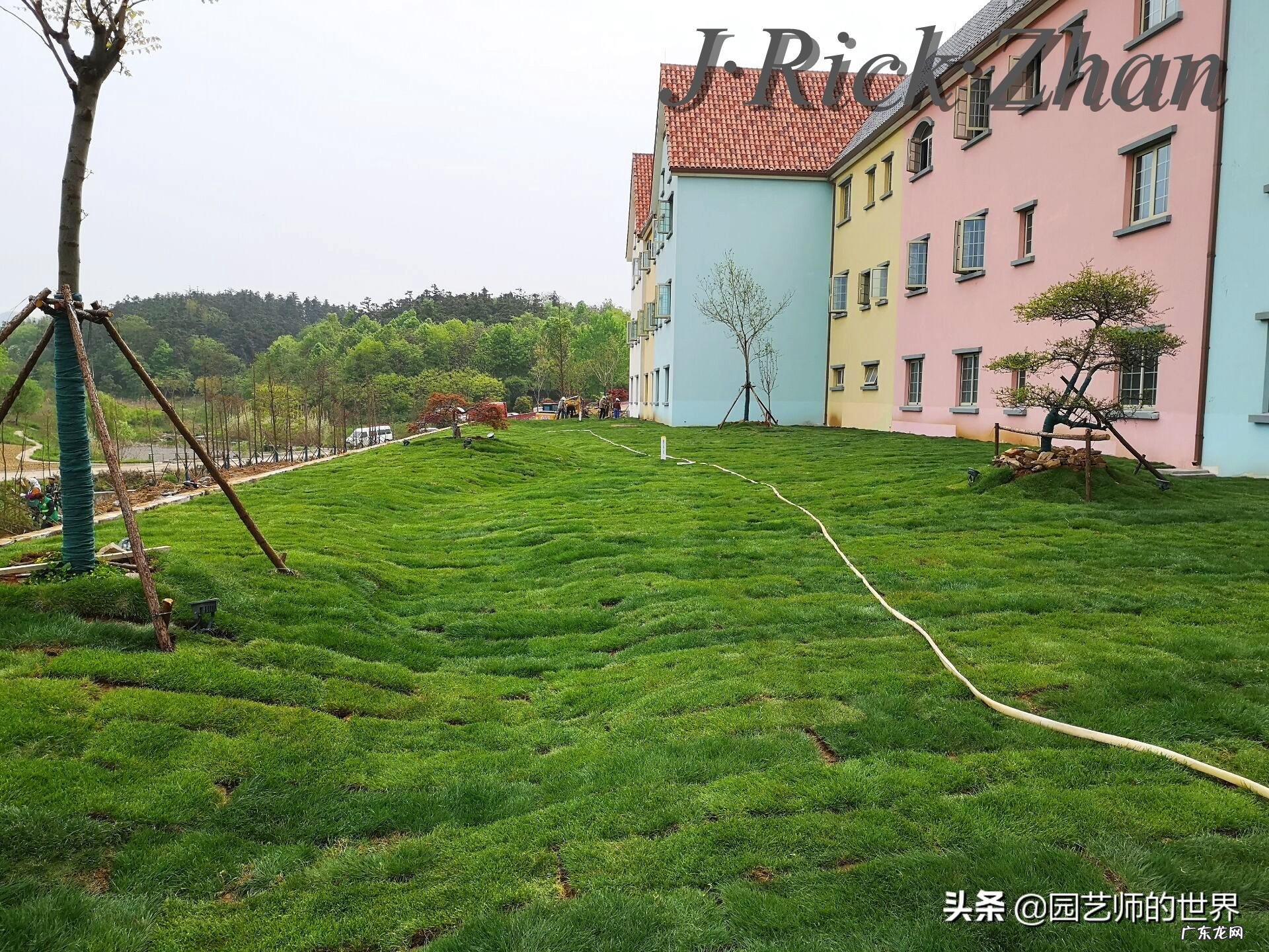 顺祝商祺 顺祝商祺是什么意思啊