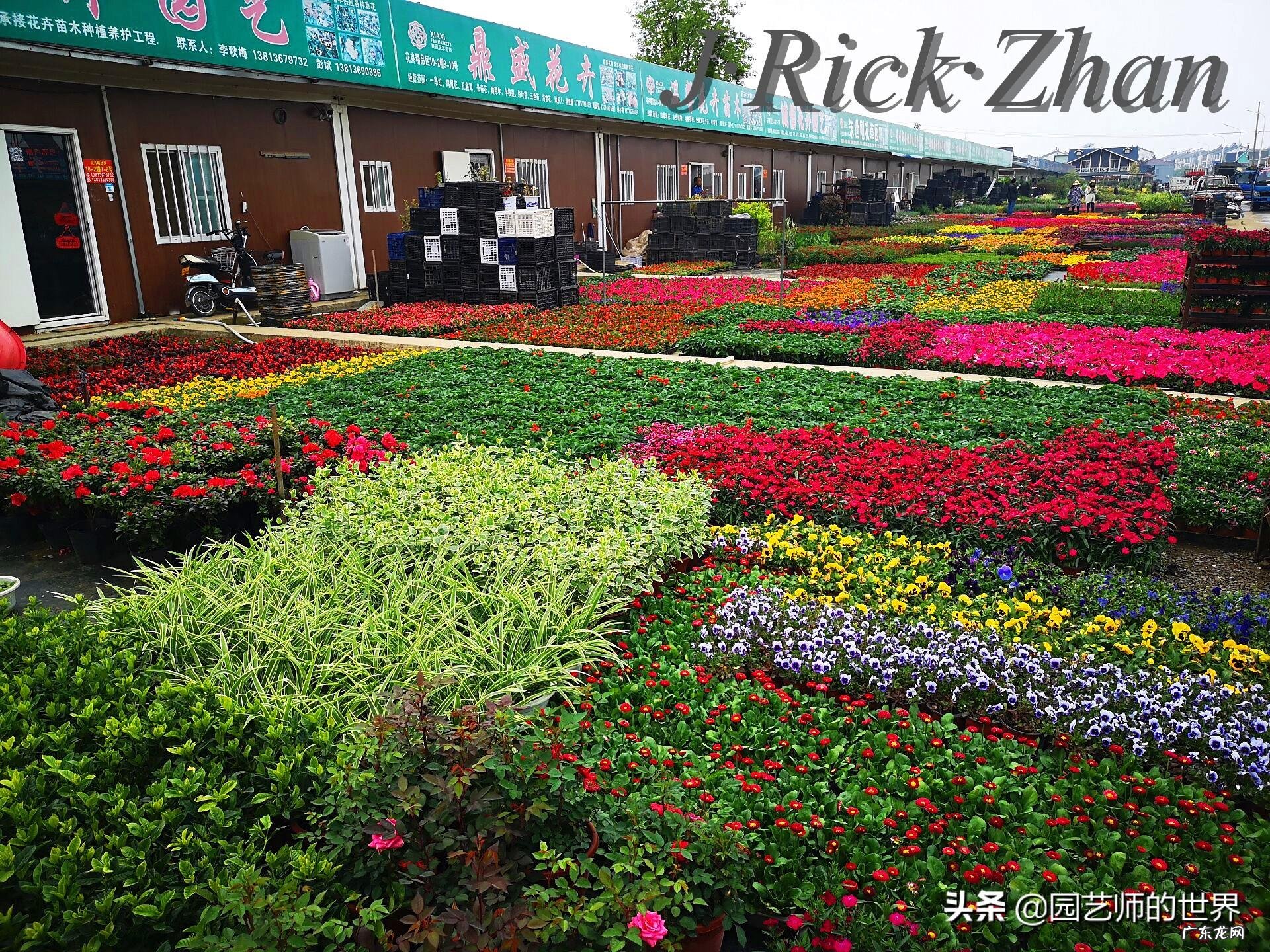 顺祝商祺 顺祝商祺是什么意思啊