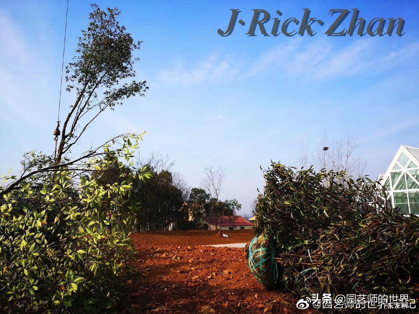 顺祝商祺 顺祝商祺是什么意思啊