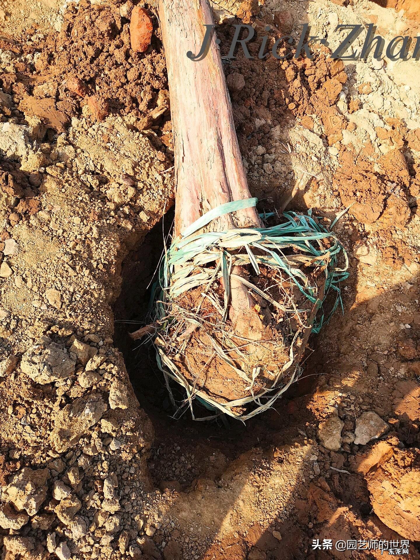 顺祝商祺 顺祝商祺是什么意思啊