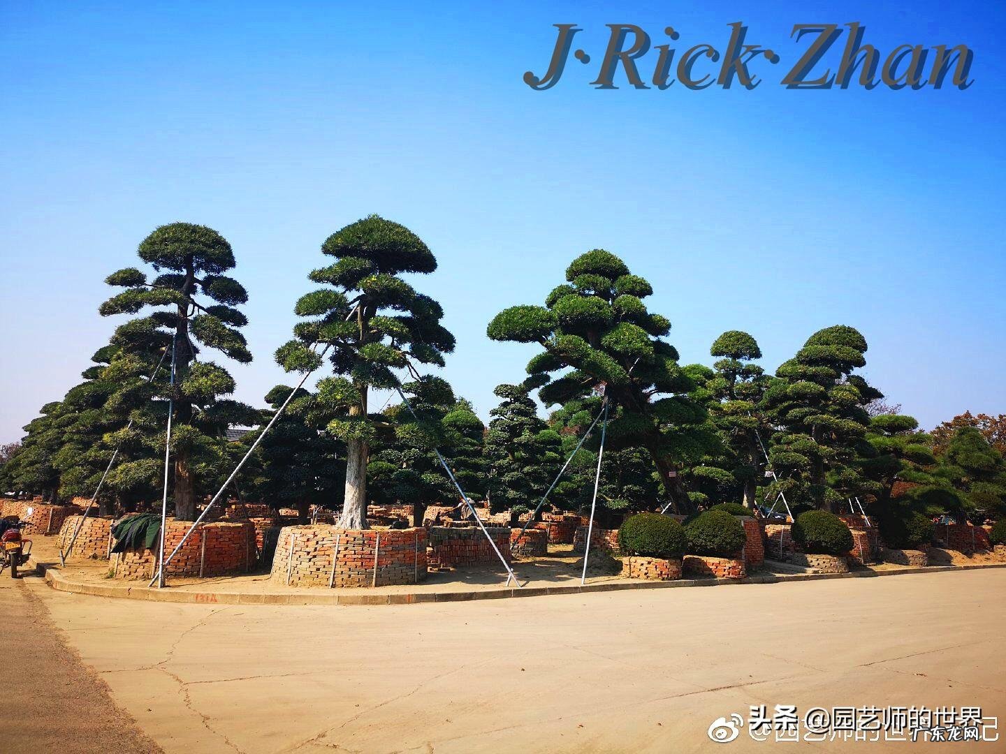 顺祝商祺 顺祝商祺是什么意思啊