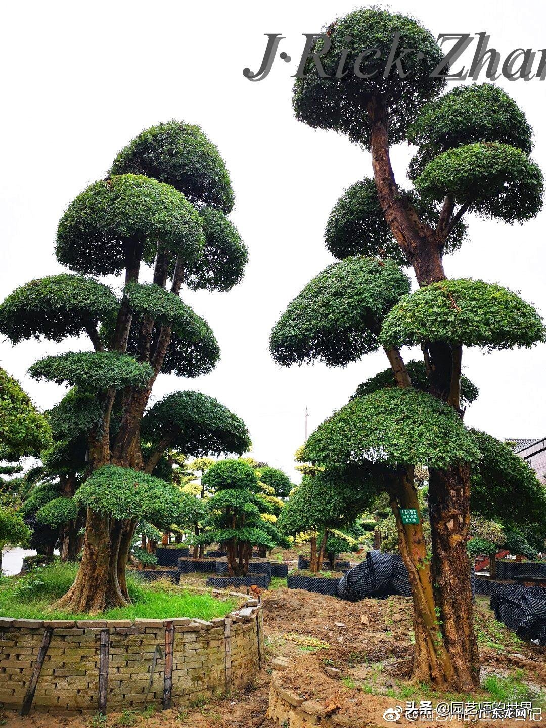 顺祝商祺 顺祝商祺是什么意思啊