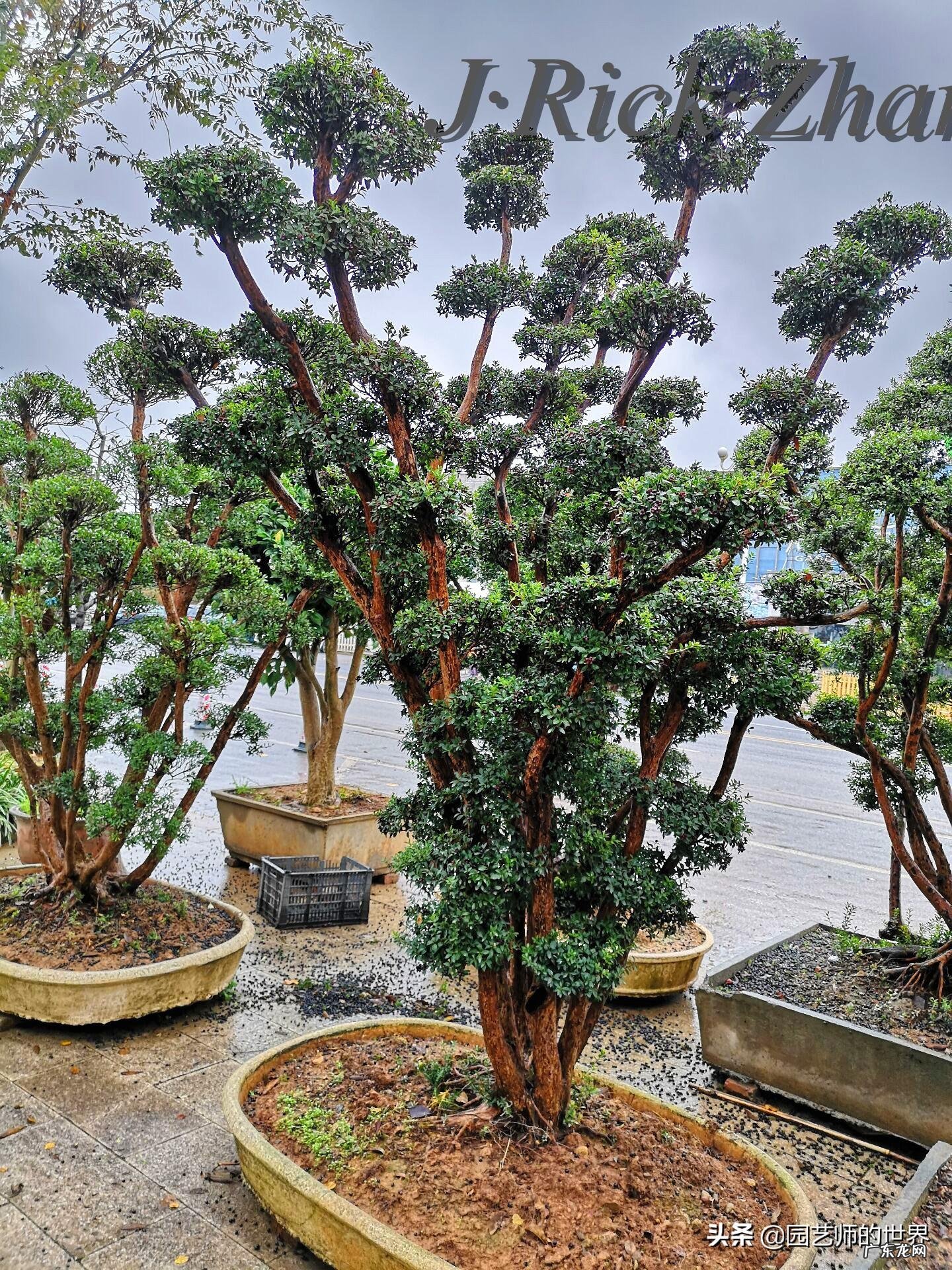 顺祝商祺 顺祝商祺是什么意思啊