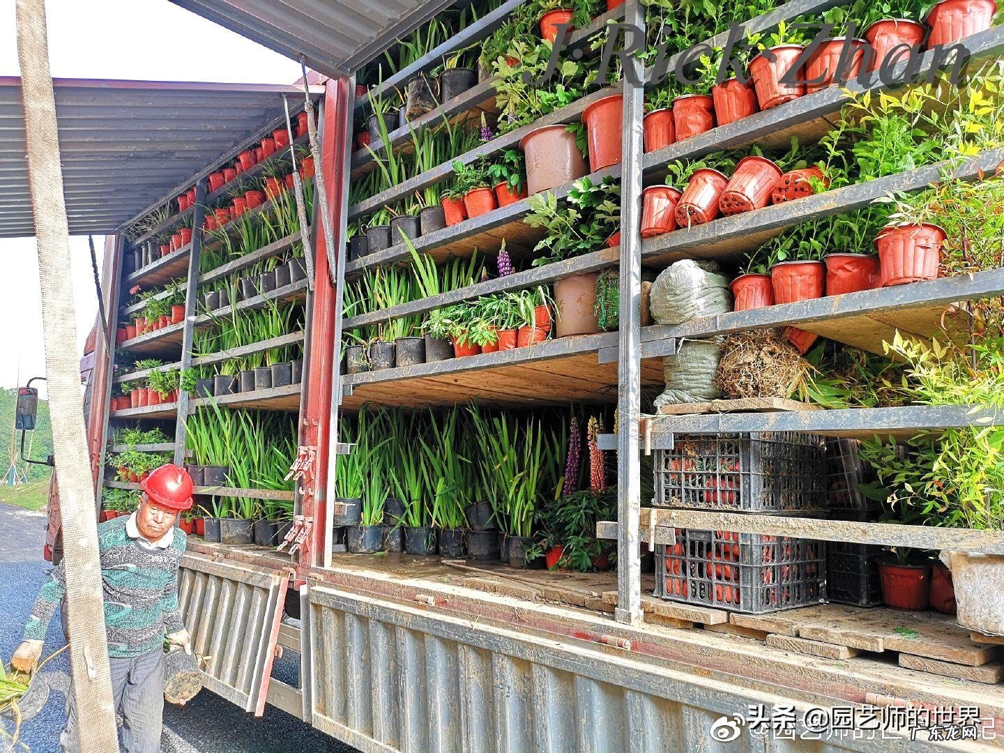 顺祝商祺 顺祝商祺是什么意思啊