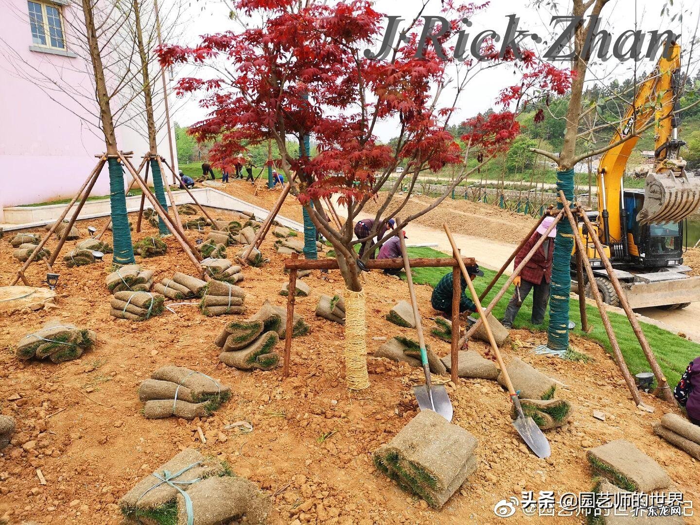 顺祝商祺 顺祝商祺是什么意思啊