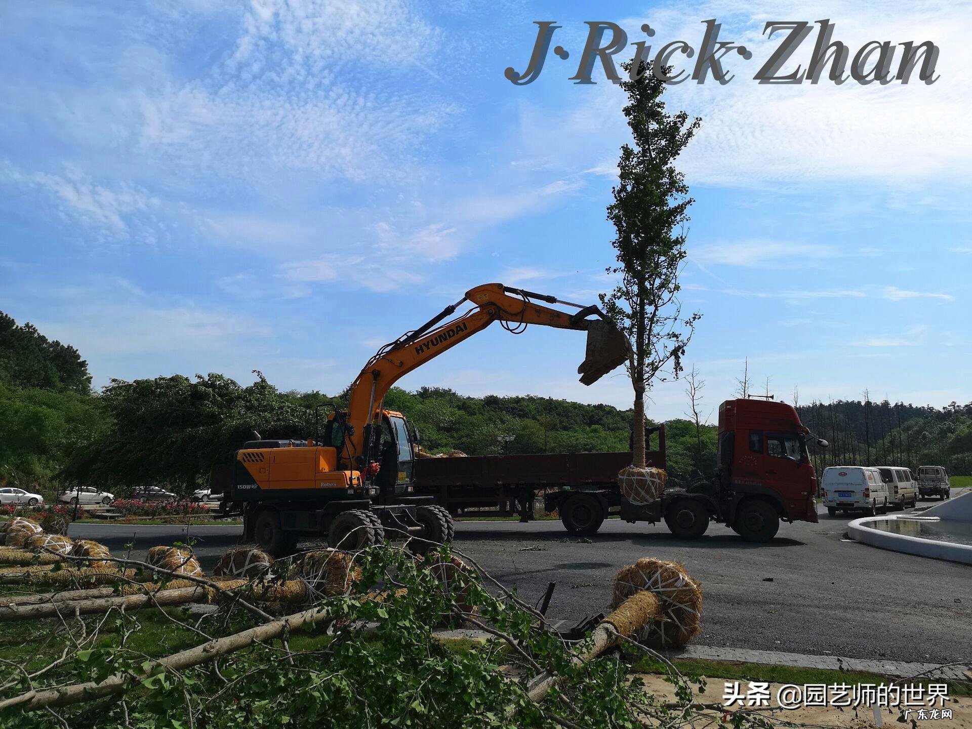 顺祝商祺 顺祝商祺是什么意思啊