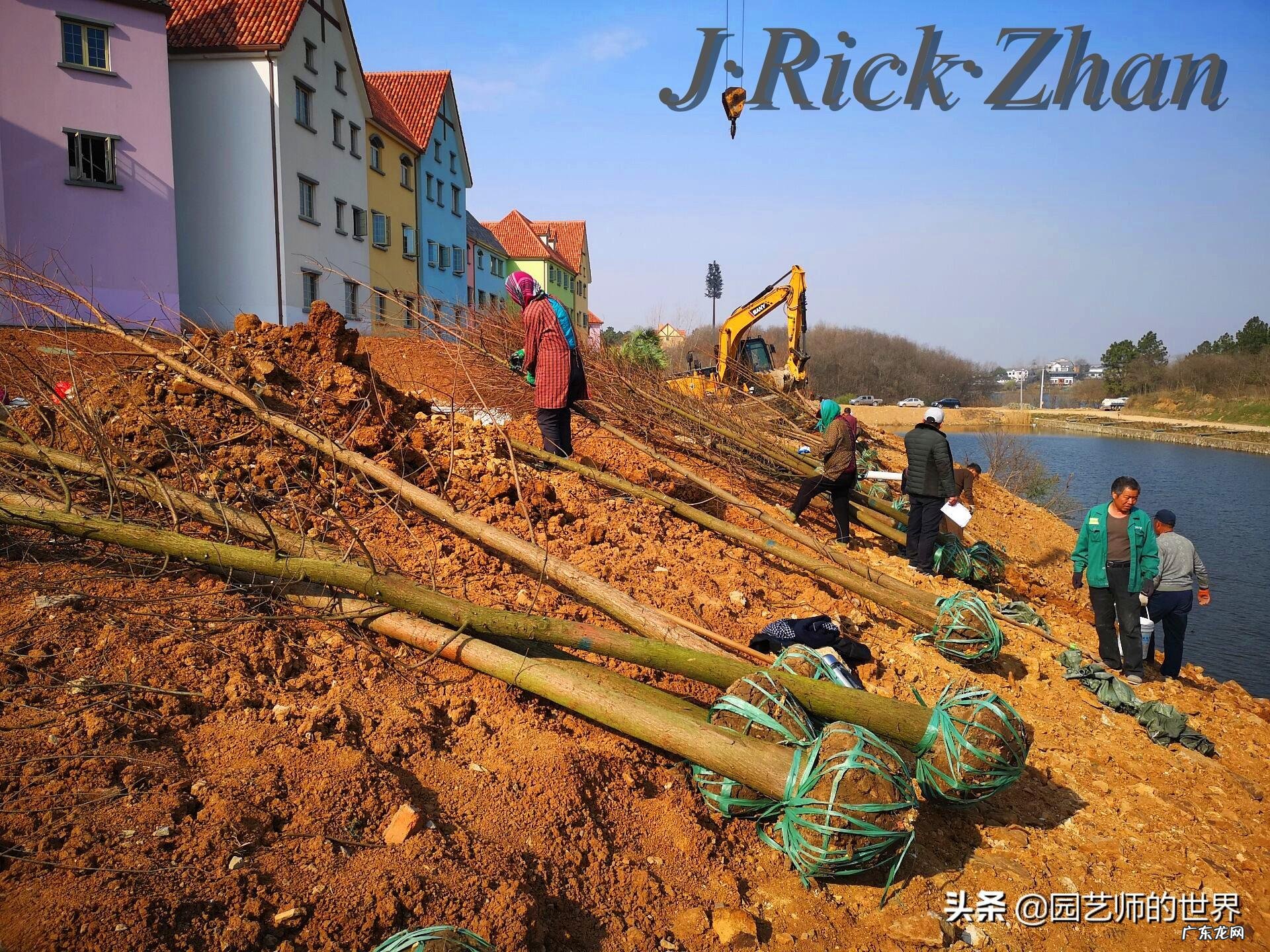 顺祝商祺 顺祝商祺是什么意思啊