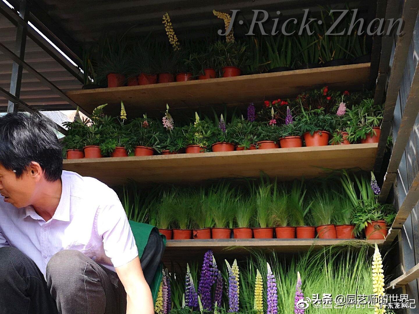 顺祝商祺 顺祝商祺是什么意思啊