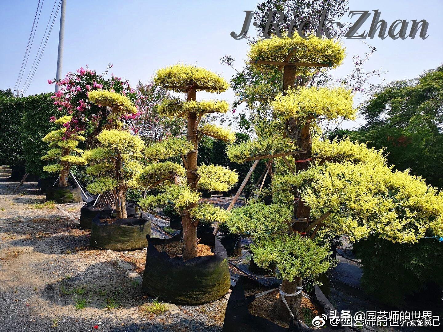 顺祝商祺 顺祝商祺是什么意思啊