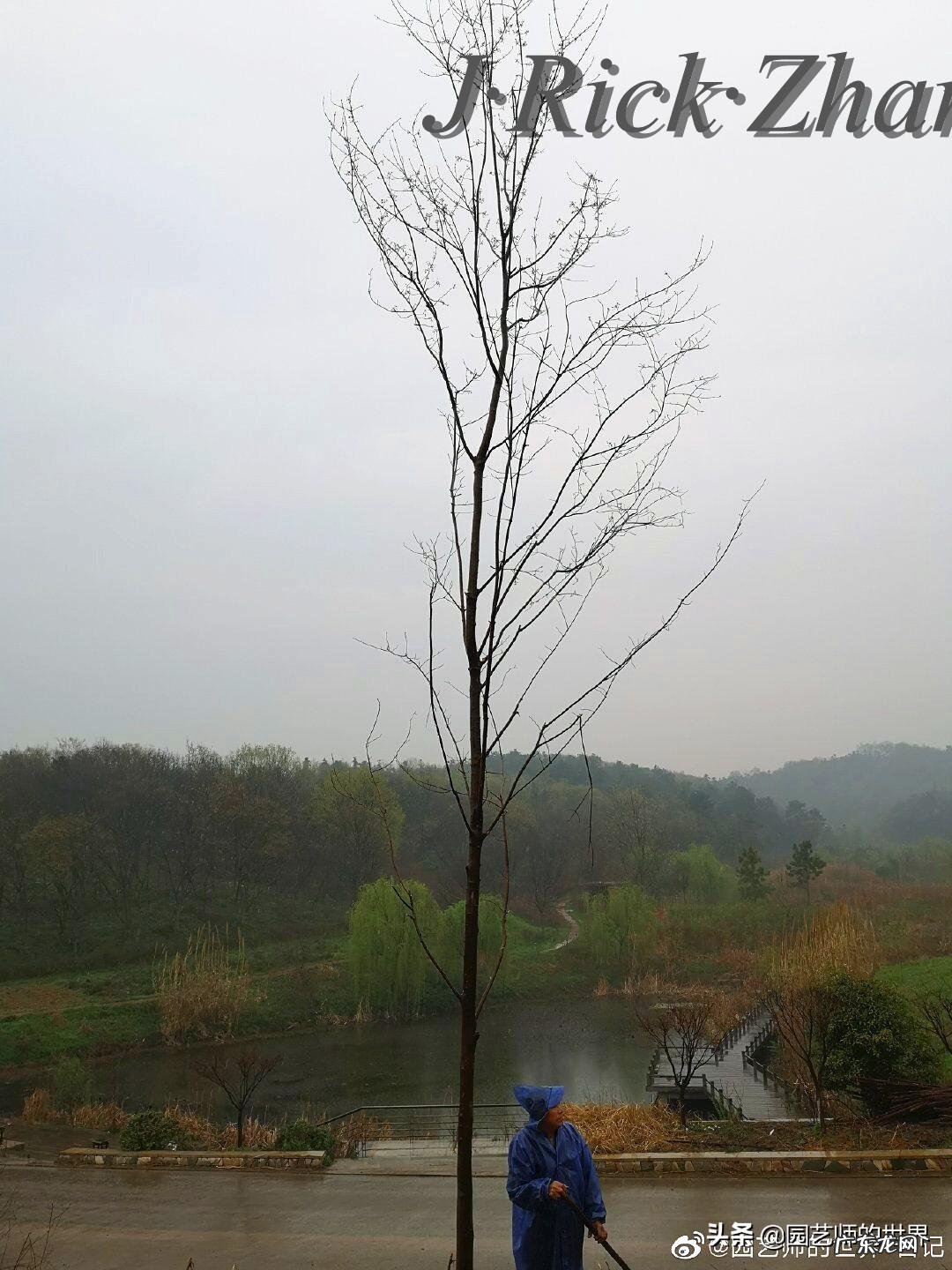 顺祝商祺 顺祝商祺是什么意思啊