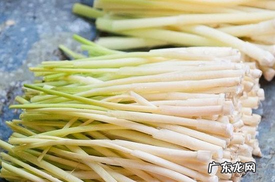 野生芦苇笋的吃法