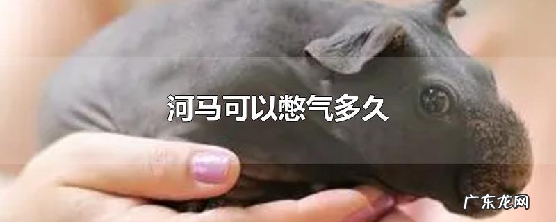 河马可以憋气多久