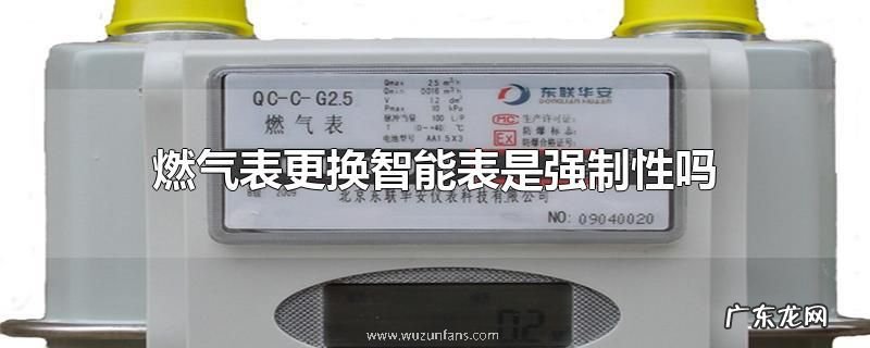 燃气表更换智能表是强制性吗