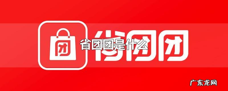 省团团是什么