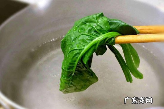 菠菜必须焯水才能吃吗