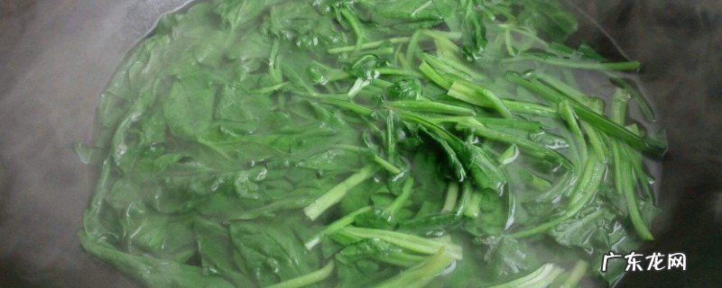 菠菜必须焯水才能吃吗