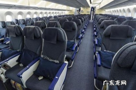 冷冻肉能带上飞机吗