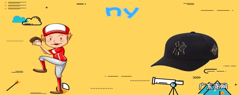 ny是什么牌子