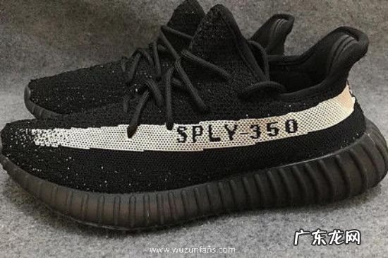 椰子700和350尺码一样吗