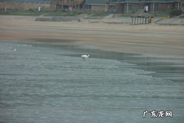 舟山旅游景点攻略自驾游 舟山旅游攻略景点必去