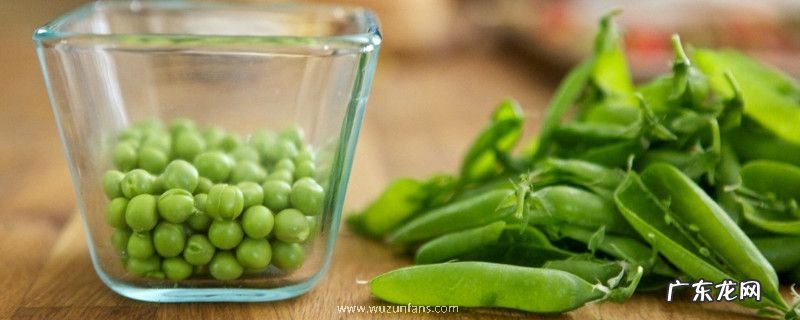 青豆煮几分钟才能熟