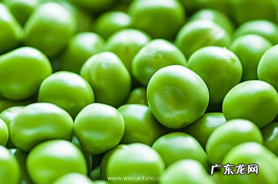 青豆煮几分钟才能熟