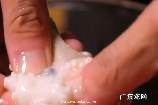 八爪鱼怎么清洗
