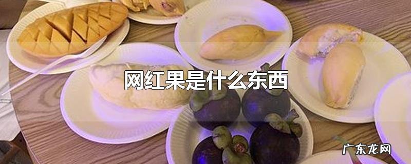 网红果是什么东西